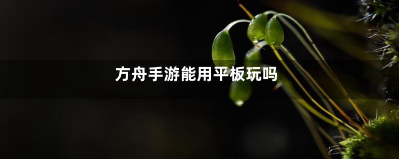 方舟手游能用平板玩吗