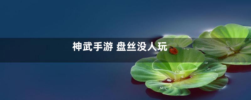 神武手游 盘丝没人玩