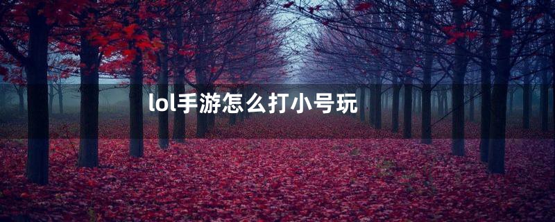 lol手游怎么打小号玩