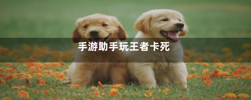 手游助手玩王者卡死