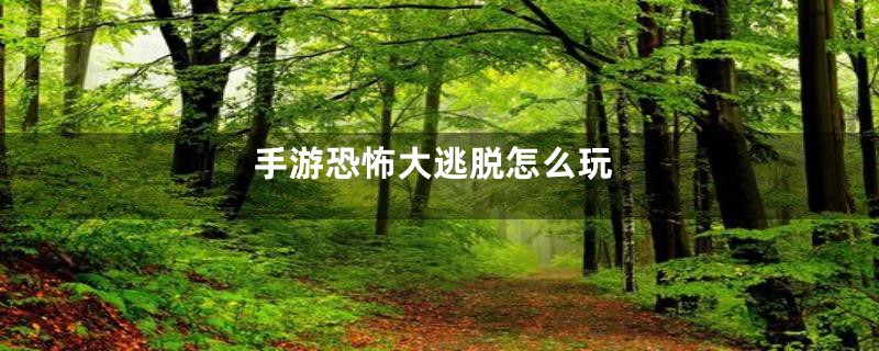手游恐怖大逃脱怎么玩