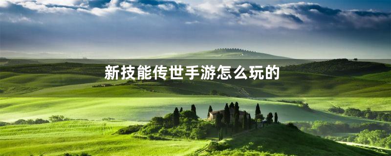 新技能传世手游怎么玩的