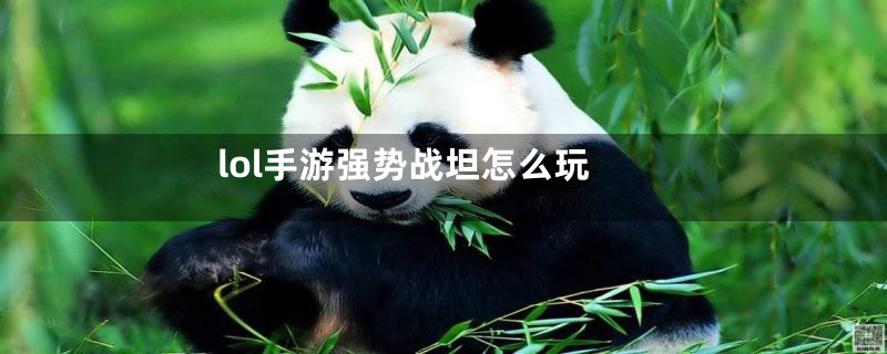 lol手游强势战坦怎么玩