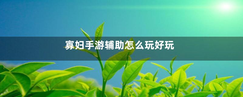 寡妇手游辅助怎么玩好玩