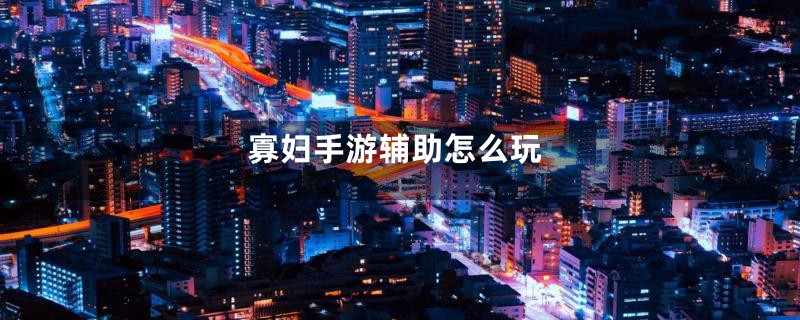 寡妇手游辅助怎么玩