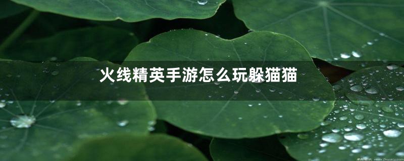 火线精英手游怎么玩躲猫猫