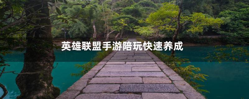英雄联盟手游陪玩快速养成