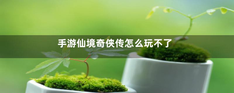 手游仙境奇侠传怎么玩不了