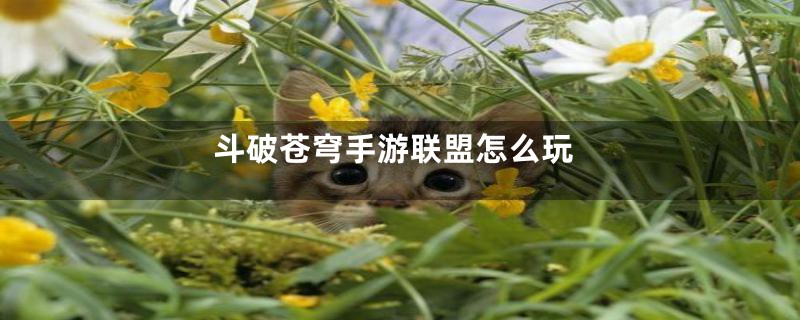 斗破苍穹手游联盟怎么玩