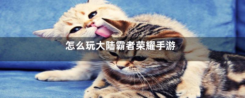 怎么玩大陆霸者荣耀手游