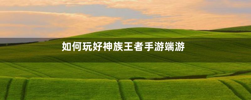 如何玩好神族王者手游端游