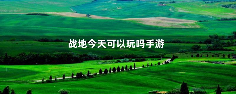 战地今天可以玩吗手游