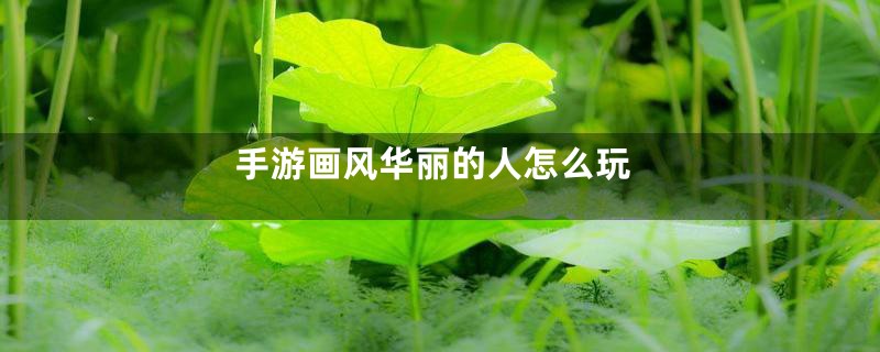 手游画风华丽的人怎么玩