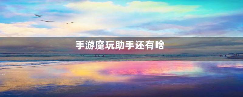 手游魔玩助手还有啥