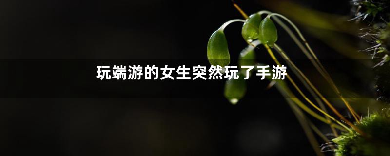 玩端游的女生突然玩了手游