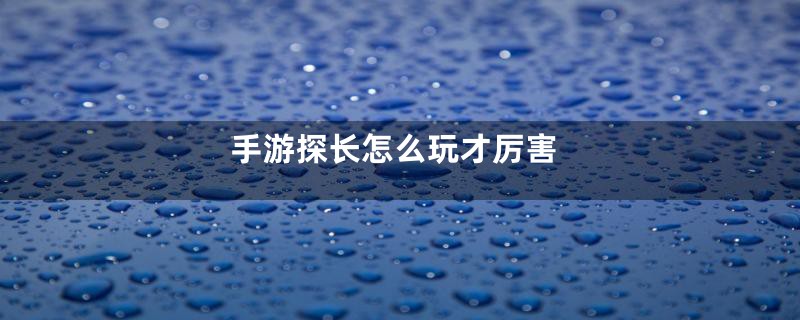 手游探长怎么玩才厉害