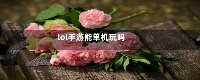 lol手游能单机玩吗