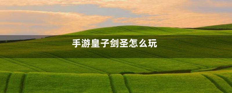 手游皇子剑圣怎么玩