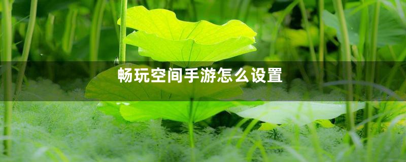 畅玩空间手游怎么设置