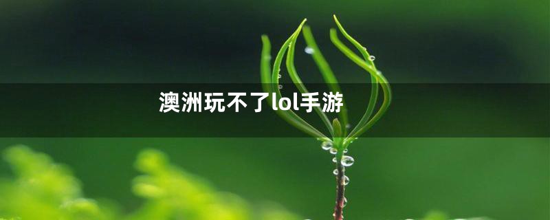 澳洲玩不了lol手游