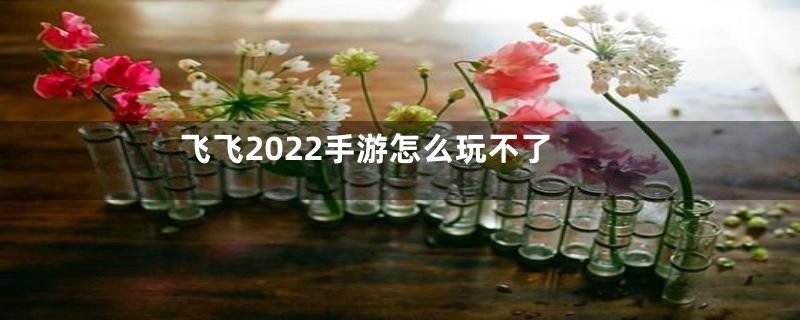 飞飞2022手游怎么玩不了