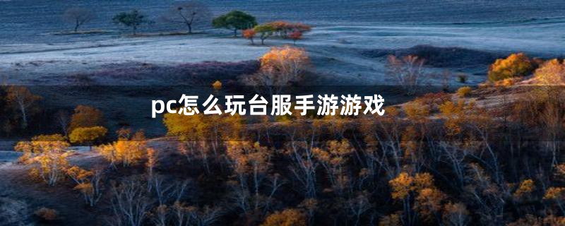 pc怎么玩台服手游游戏