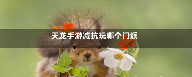 天龙手游减抗玩哪个门派