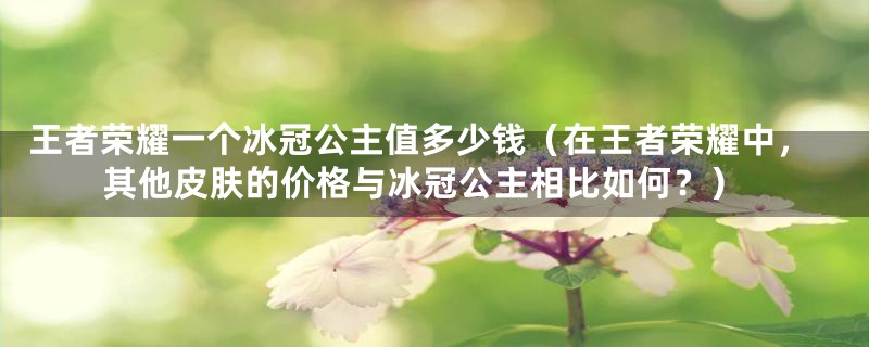 王者荣耀一个冰冠公主值多少钱（在王者荣耀中，其他皮肤的价格与冰冠公主相比如何？）