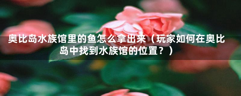奥比岛水族馆里的鱼怎么拿出来(玩家如何在奥比岛中找到水族馆的位置?)