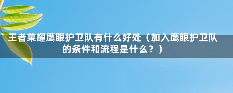 王者荣耀鹰眼护卫队有什么好处(加入鹰眼护卫队的条件和流程是什么?)