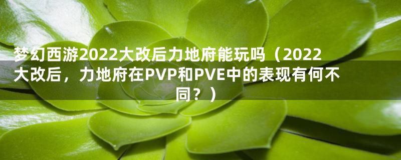 梦幻西游2022大改后力地府能玩吗(2022大改后,力地府在PVP和PVE中的表现有何不同?)