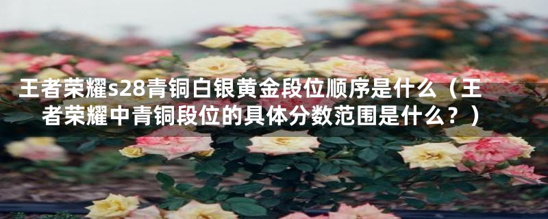 王者荣耀s28青铜白银黄金段位顺序是什么(王者荣耀中青铜段位的具体分数范围是什么?)