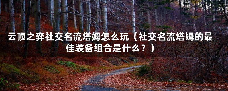云顶之弈社交名流塔姆怎么玩（社交名流塔姆的最佳装备组合是什么？）