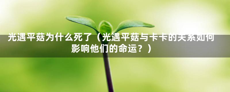 光遇平菇为什么死了(光遇平菇与卡卡的关系如何影响他们的命运?)