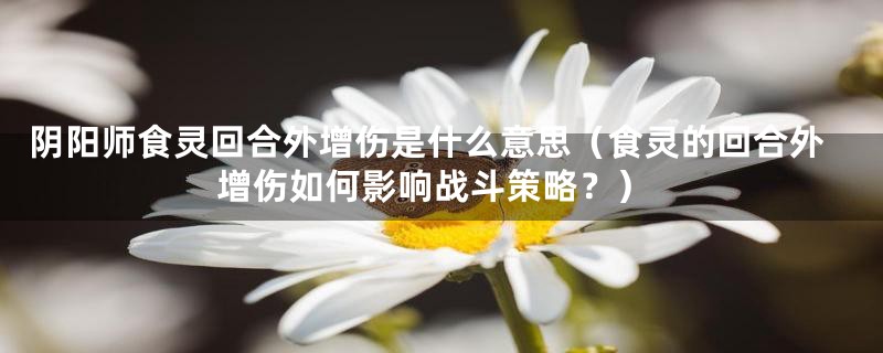 阴阳师食灵回合外增伤是什么意思(食灵的回合外增伤如何影响战斗策略?)