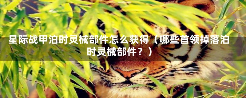 星际战甲泊时灵械部件怎么获得(哪些首领掉落泊时灵械部件?)