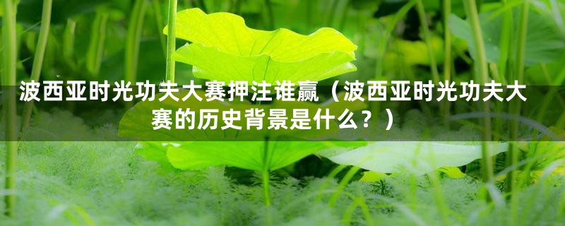波西亚时光功夫大赛押注谁赢(波西亚时光功夫大赛的历史背景是什么?)