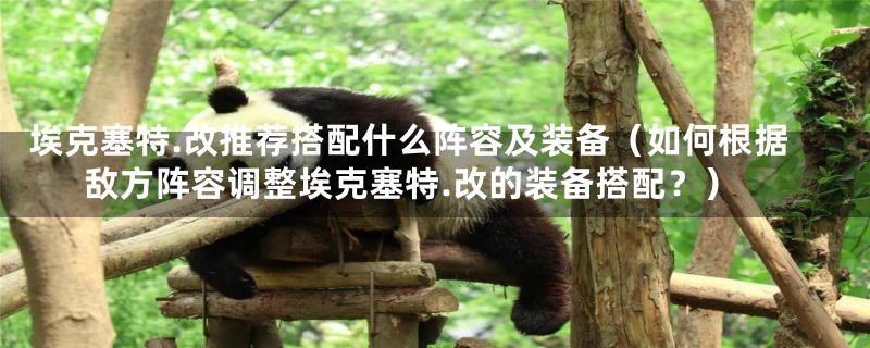 埃克塞特.改推荐搭配什么阵容及装备(如何根据敌方阵容调整埃克塞特.改的装备搭配?)