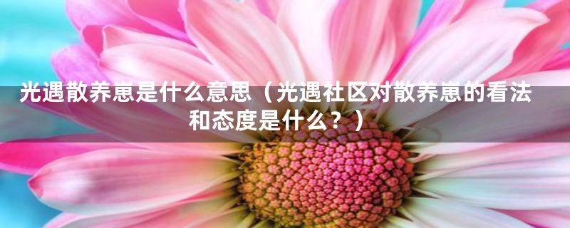 光遇散养崽是什么意思(光遇社区对散养崽的看法和态度是什么?)