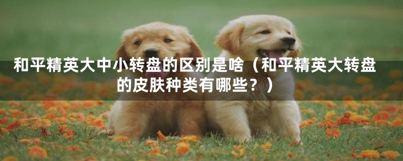和平精英大中小转盘的区别是啥(和平精英大转盘的皮肤种类有哪些?)