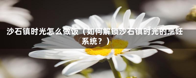 沙石镇时光怎么做饭(如何解锁沙石镇时光的烹饪系统?)