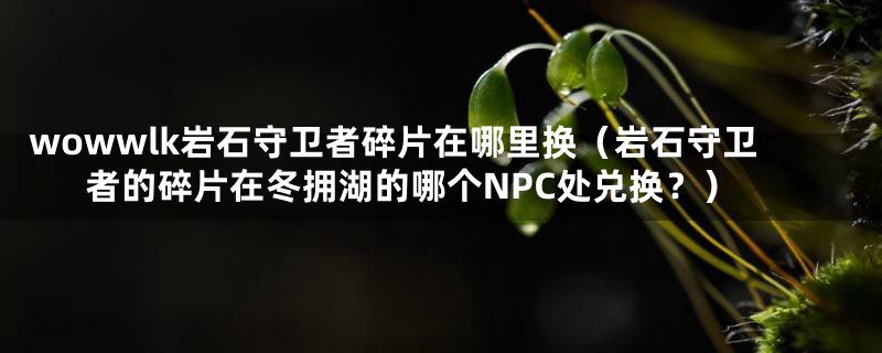 wowwlk岩石守卫者碎片在哪里换(岩石守卫者的碎片在冬拥湖的哪个NPC处兑换?)
