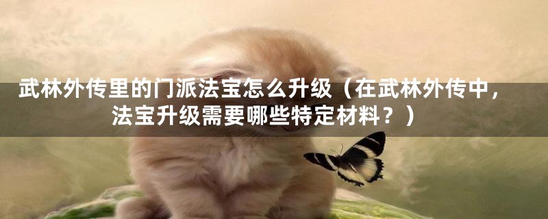 武林外传里的门派法宝怎么升级(在武林外传中,法宝升级需要哪些特定材料?)