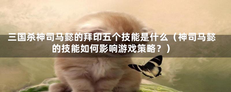 三国杀神司马懿的拜印五个技能是什么(神司马懿的技能如何影响游戏策略?)