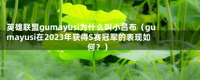 英雄联盟gumayusi为什么叫小吕布(gumayusi在2023年获得S赛冠军的表现如何?)