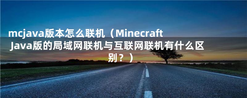 mcjava版本怎么联机(Minecraft Java版的局域网联机与互联网联机有什么区别?)