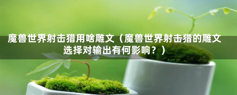 魔兽世界射击猎用啥雕文(魔兽世界射击猎的雕文选择对输出有何影响?)