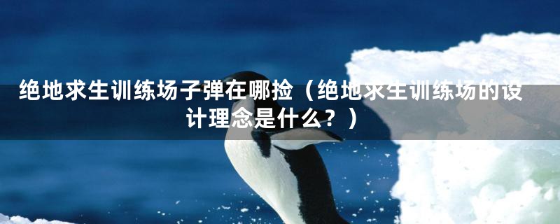绝地求生训练场子弹在哪捡(绝地求生训练场的设计理念是什么?)