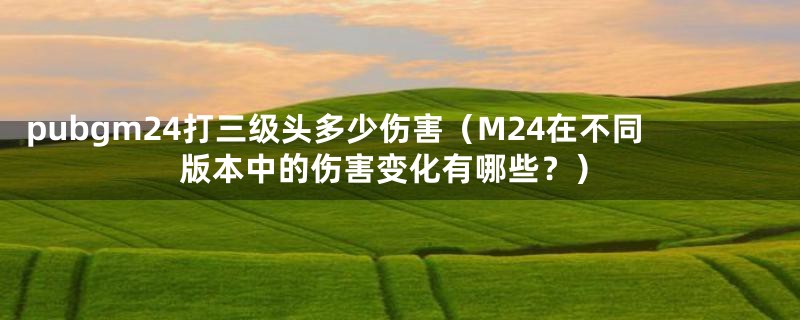 pubgm24打三级头多少伤害(M24在不同版本中的伤害变化有哪些?)