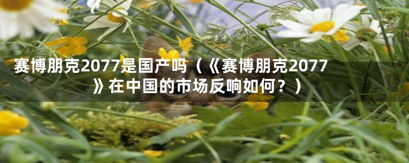赛博朋克2077是国产吗(《赛博朋克2077》在中国的市场反响如何?)